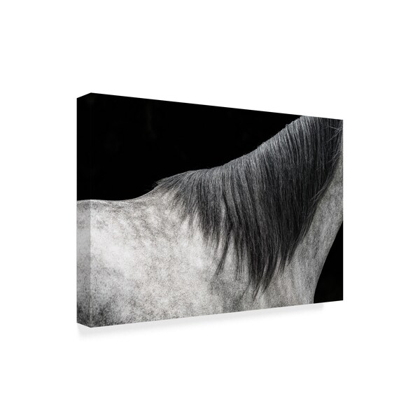 Piet Flour 'The Gray Horse' Canvas Art,22x32